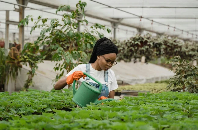 Ultrices sagittis orci a scelerisque purus semper eget duis at. Sollicitudin nibh sit amet.